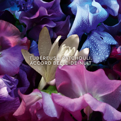 Absolus Allegoria Florabloom - Eau de Parfum GUERLAIN Absolus Allegoria Florabloom - Eau de Parfum GUERLAIN